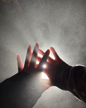 TERAPIA EVOLUTIVA BASADA EN FORTALEZAS